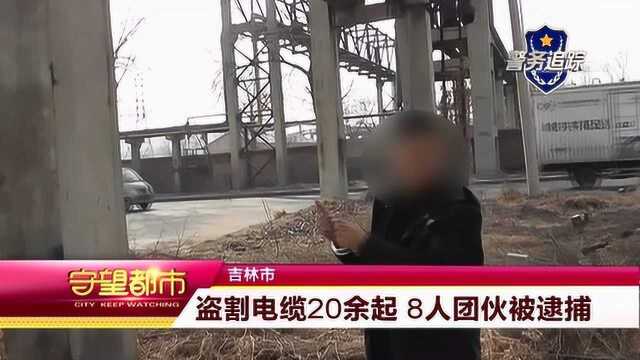 盗割电缆20余起 8人团伙被逮捕