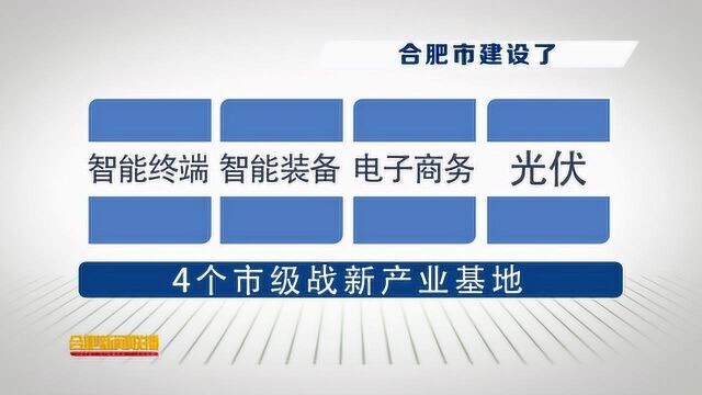 合肥市大力培育战新产业 获国务院“点赞”