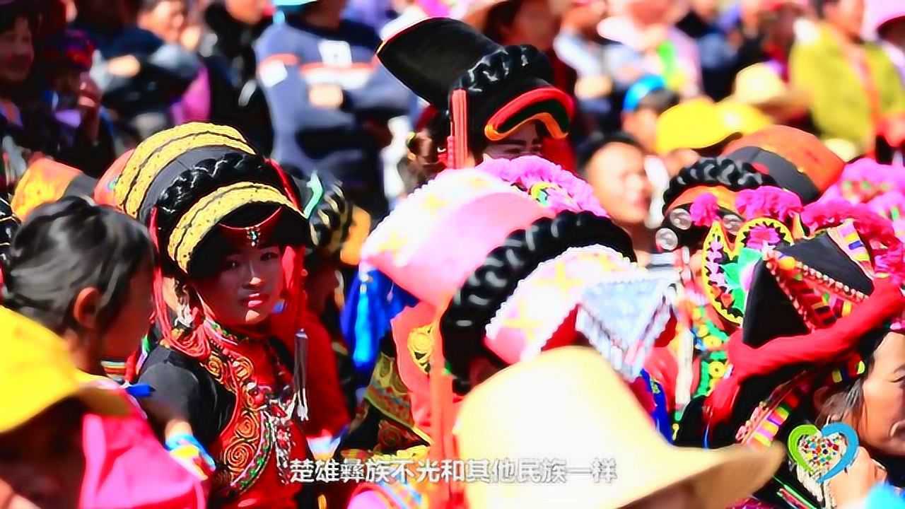 惊艳世界的楚雄彝绣，带你感受不一样的彝族风情！_高清1080P在线观看平台_腾讯视频