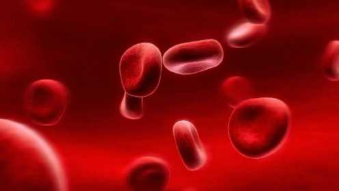 世界献血者日： 除了ABO血型，人类的血型竟然还有35种分类方式