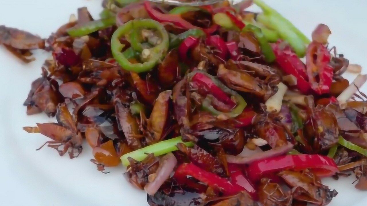 小伙油炸爆炒"九香虫",酥脆可口味道一级棒,对不起臭屁虫名声_腾讯视