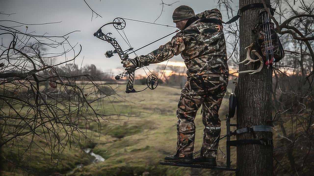 弓箭狩猎的威力到底有多猛?看完这个视频我终于明白了!