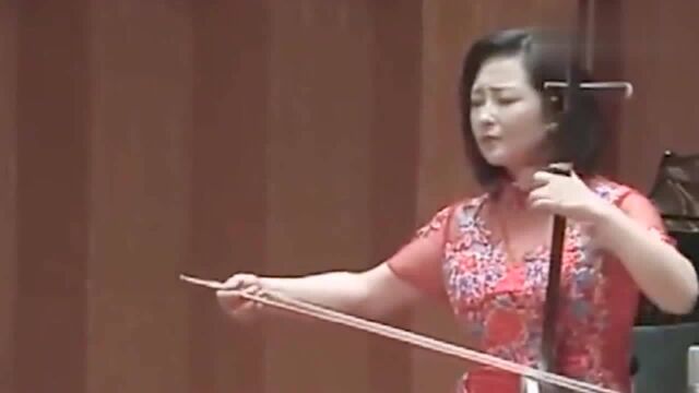 王莉莉二胡演奏《秦川情》,第一次见这么专业的表演,好听极了!