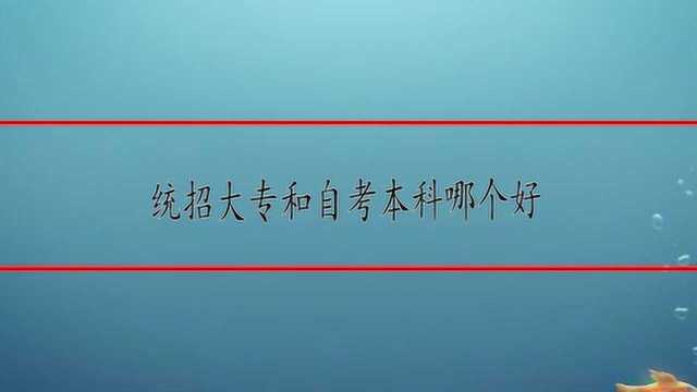 统招大专和自考本科哪个好