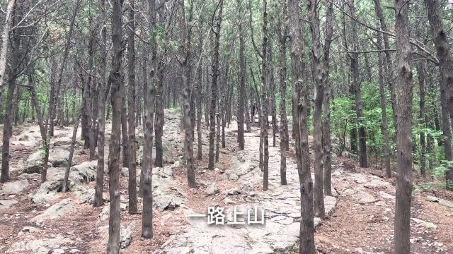 登顶云龙山俯瞰整个徐州城