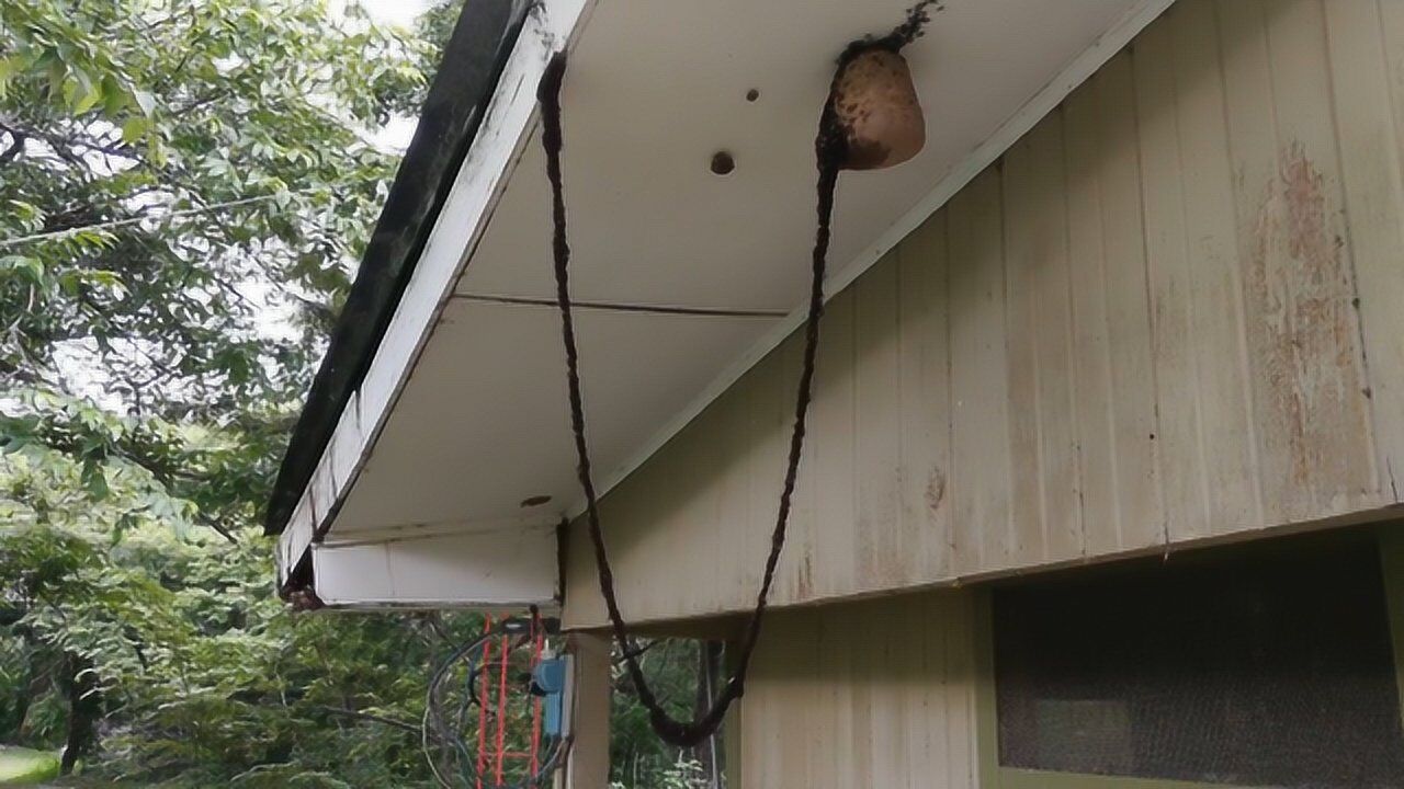 游小浪game05:45生活健康小常识:大便为什么是褐色的,宝宝科学知识