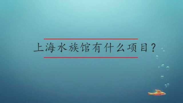 上海水族馆有什么好玩的