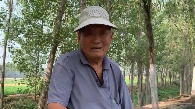 山东最牛土匪刘黑七有多厉害?82岁老人说出真话听完下巴掉一地