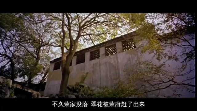 游园惊梦剧情介绍