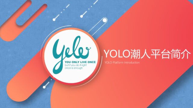 YOLO平台介绍2