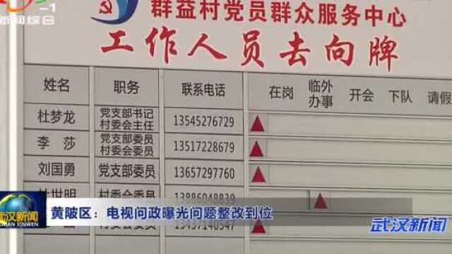 黄陂区:电视问政曝光问题整改到位