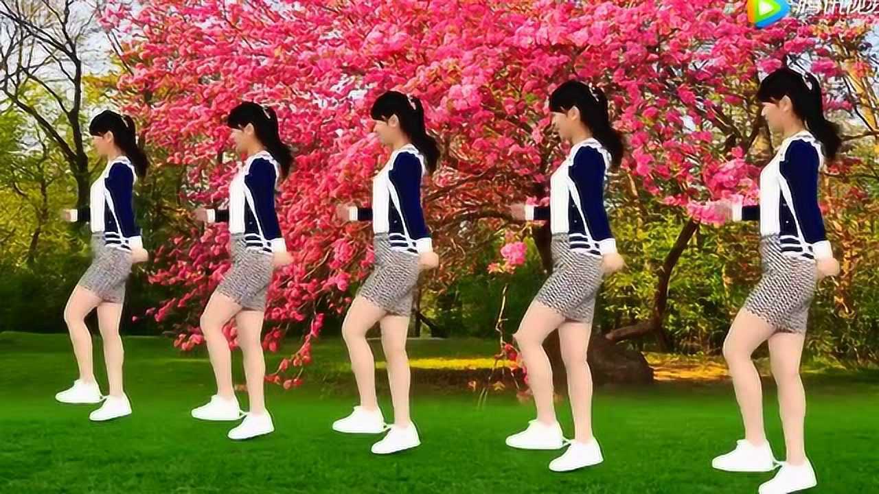 气质美女广场舞《香吉士》网红20步自由弹跳步, 简单易学!
