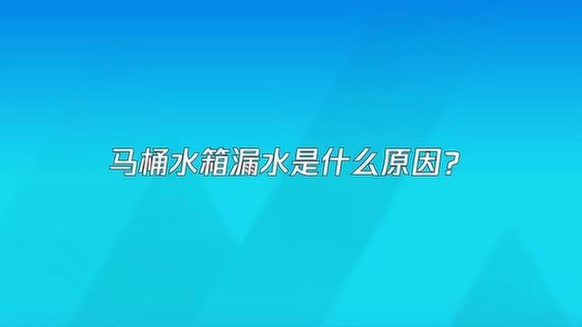 马桶水箱漏水是什么原因?