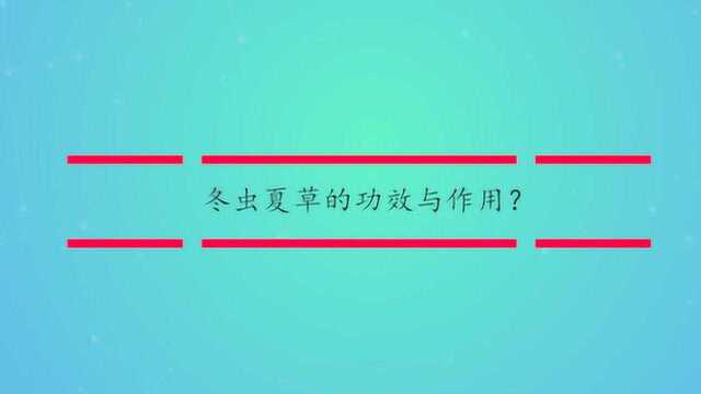 冬虫夏草的功效与作用