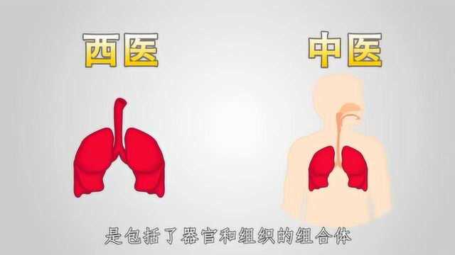 《养生固本》健康理念 3.1 什么是脏腑?