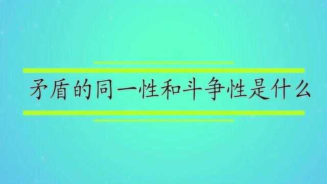 矛盾的同一性和斗争性是什么