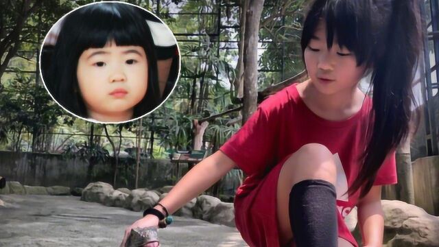 曹格女儿长大了,grace身穿红裙,梳着高马尾,如今包子脸不见