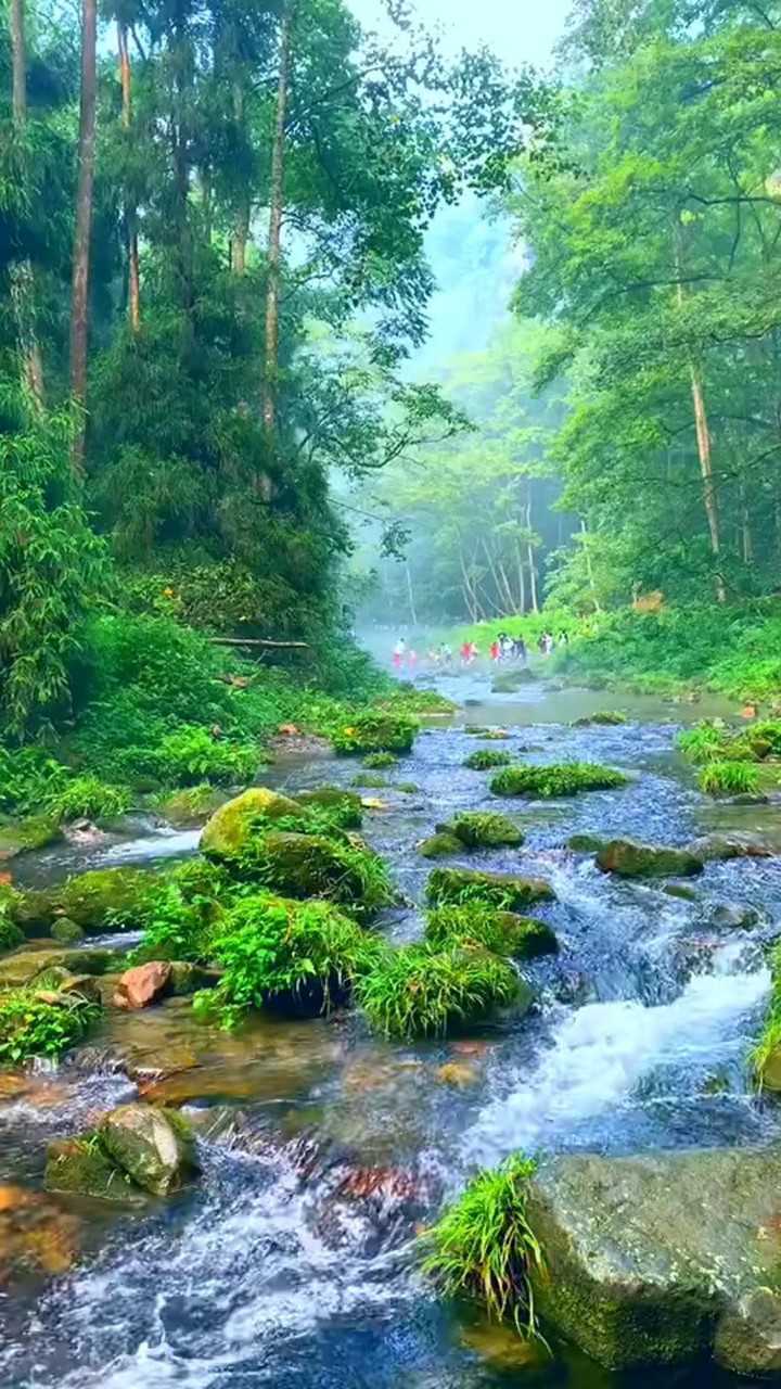 青山绿水