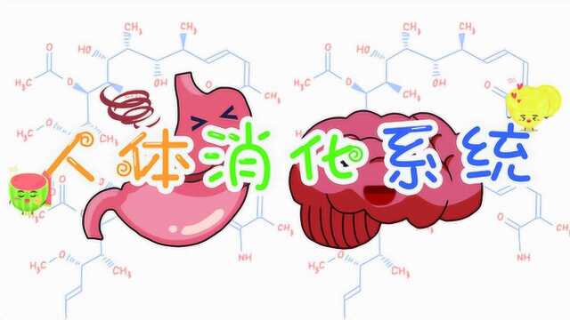 科学小实验丨带你认识人体的消化系统