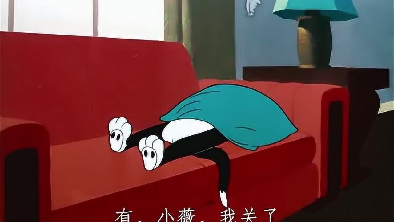 兔八哥:猫咪的主人去加利福尼亚旅游了,可它却还在呼呼大睡