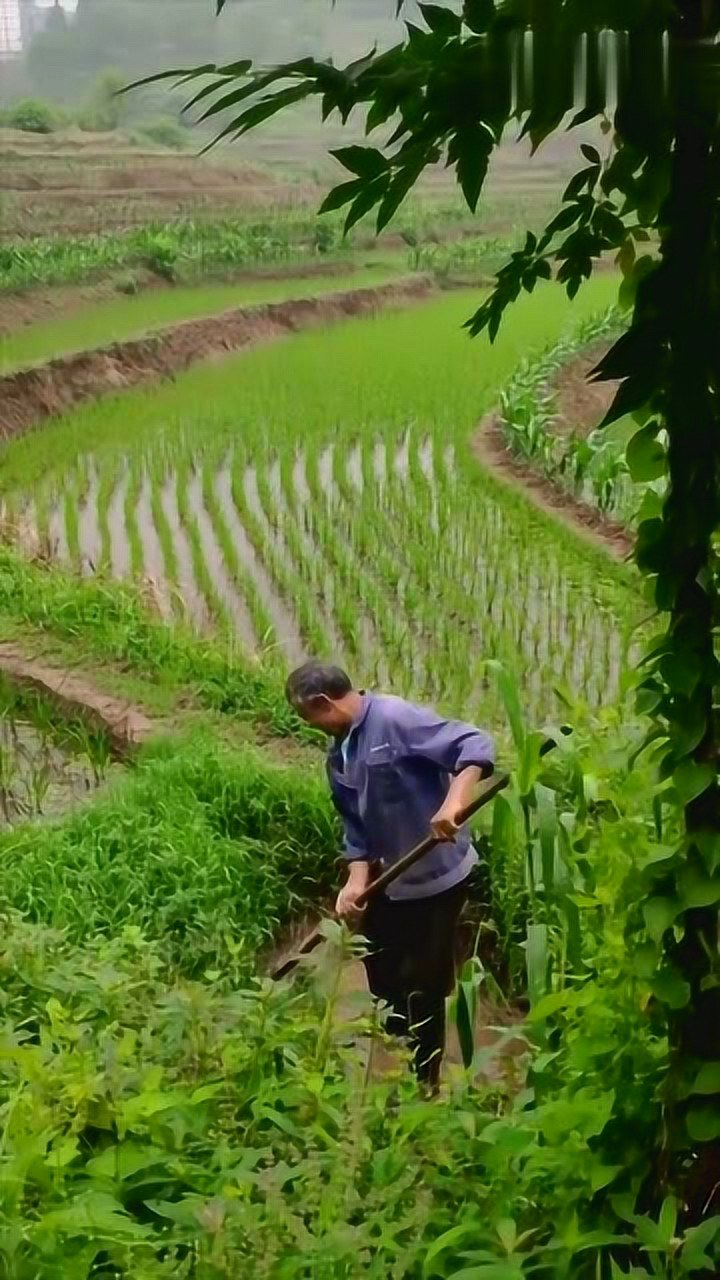 不吐个口水再握锄头,这样的干活是没有灵魂的