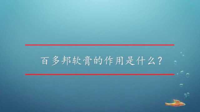 百多邦软膏的作用是什么?