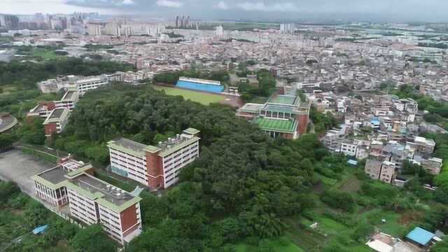 广州市番禺区沙湾古镇航拍,从天空中看是啥样的文艺自拍景点?