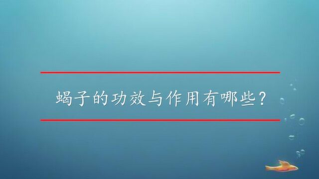 蝎子的功效与作用有哪些?