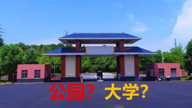 是大学还是公园?实拍长沙大学校园,人人可进面积巨大环境太美了