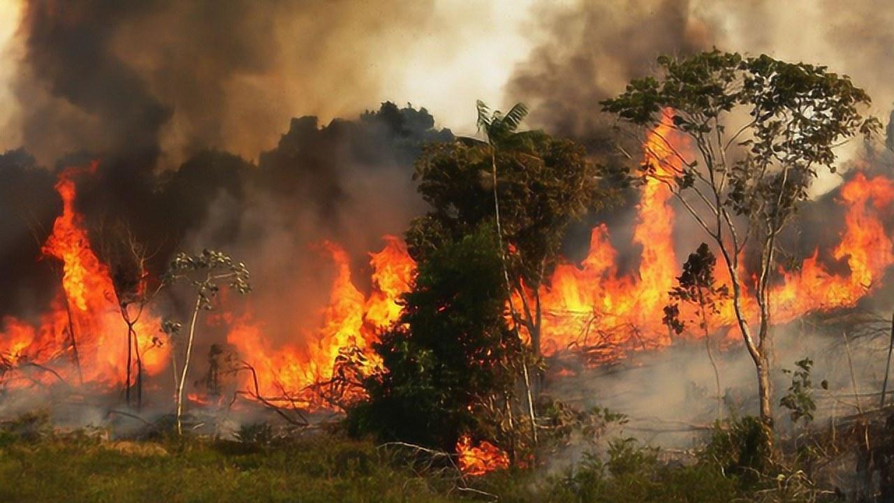 亚马逊森林大火连烧21天,巴西白天变黑夜!可至今无人救援!