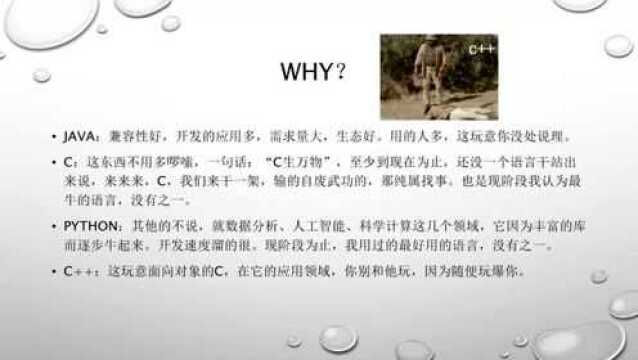 python之旅:编程语言之争!C一出手,难逢敌手!不服来战