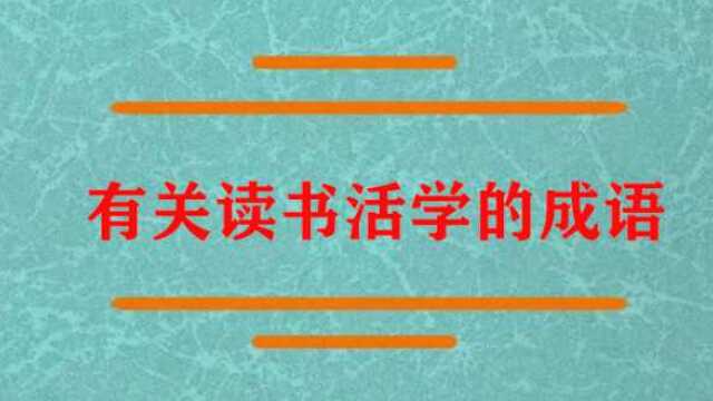 有关读书活学的成语有哪些?