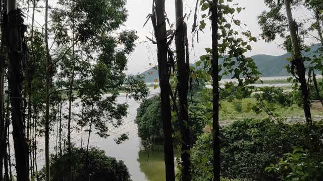 玉带朝岸发富贵风水大师寻龙点穴,阴宅祖坟地理坟地墓地风水宝地