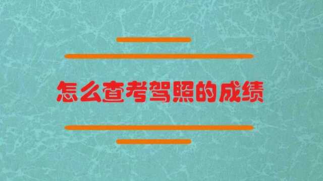 怎么可以查考驾照的成绩?