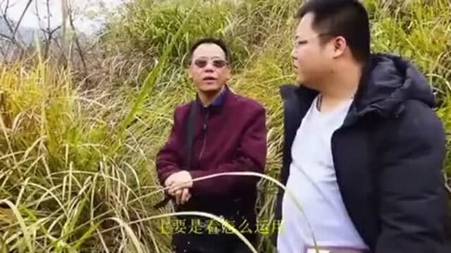 韦老爷子桂林寻龙点穴