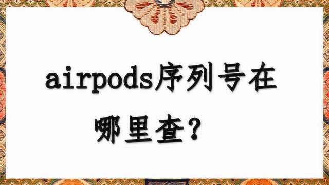 airpods序列号在哪里查?