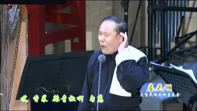 器乐合奏《市声》表演 李荣林 北京歌舞剧院民族乐团