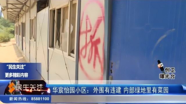 华宸怡园小区:外围有违建 内部绿地里有菜园