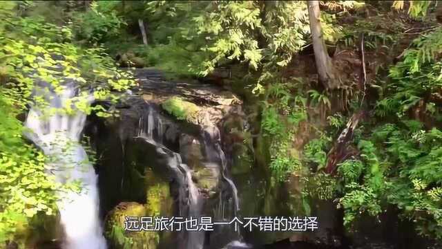 远足欣赏沿途风景,发现大自然的美丽