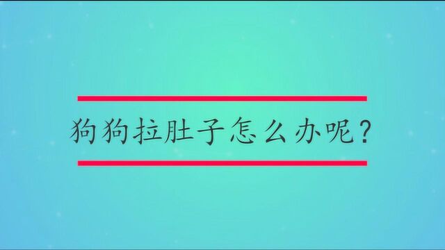 狗狗拉肚子怎么办呢?