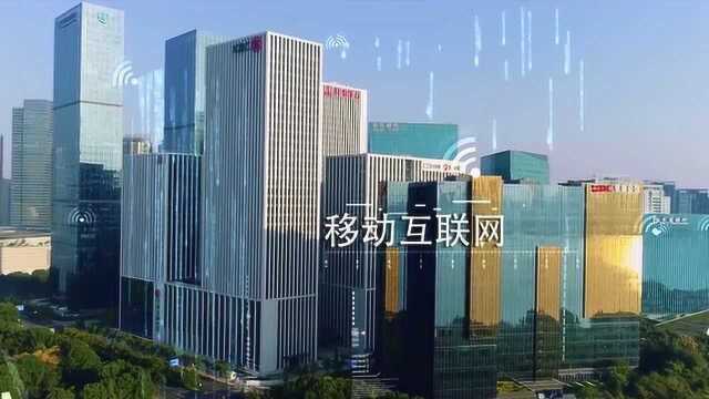 西湖龙井茶数字化管理系统