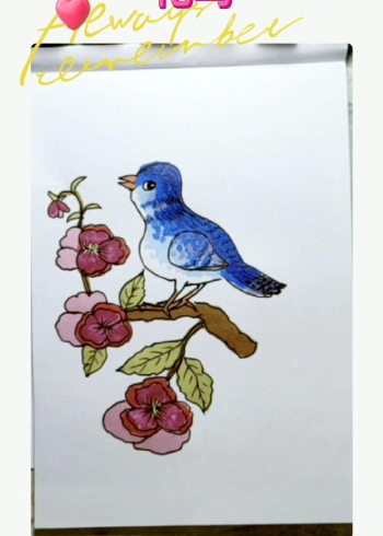 花鸟简笔画.友友们中午好!