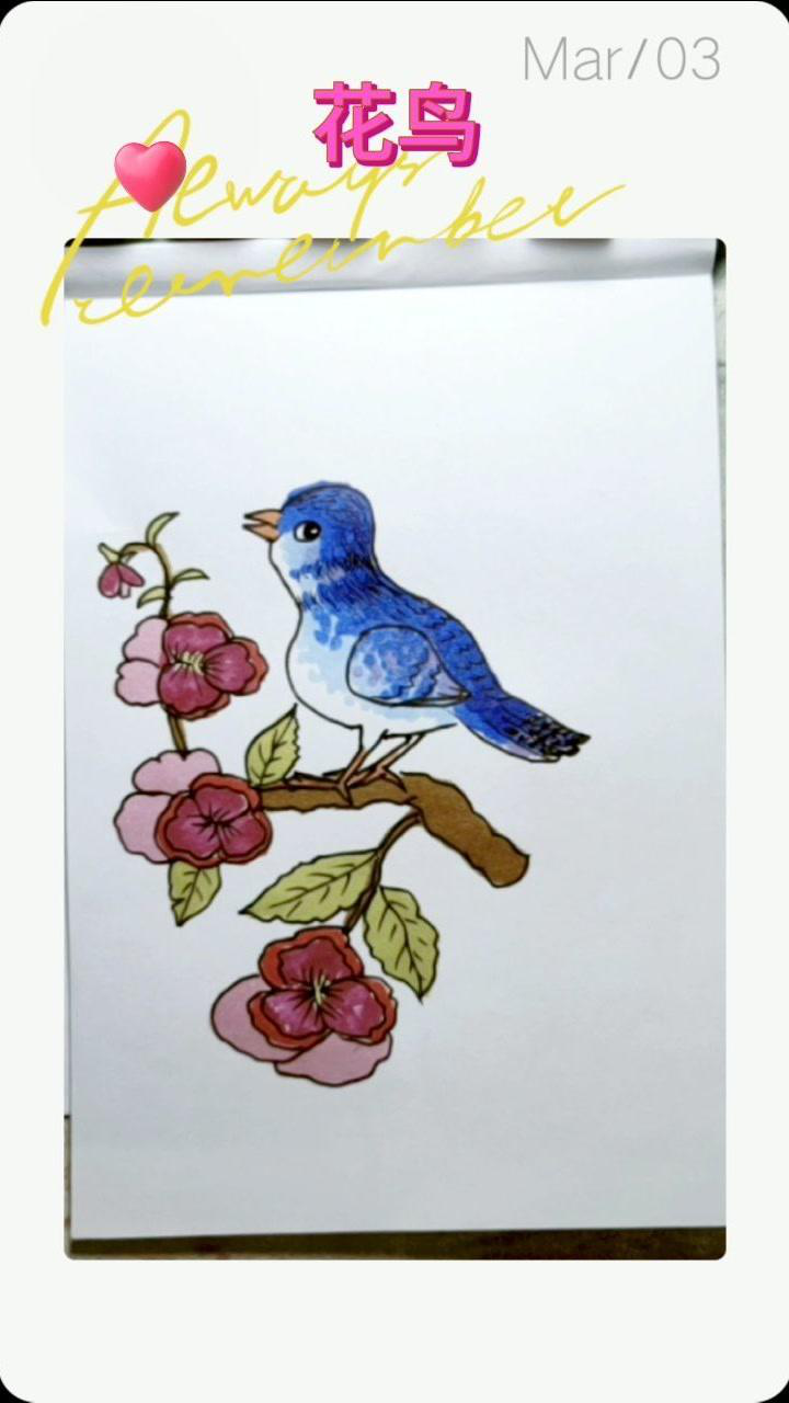 花鸟简笔画.友友们中午好!