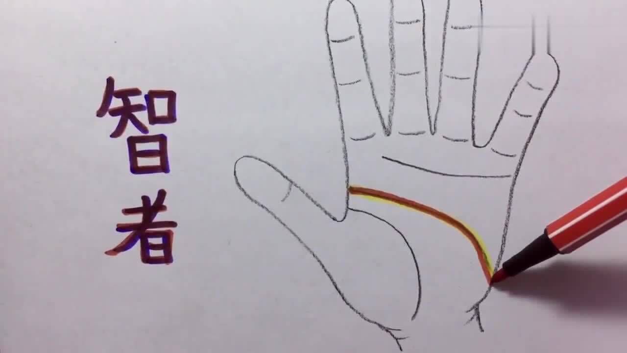 手相看：掌纹中智慧线较长，更加需要提升和维护自己的修养_高清1080P在线观看平台_腾讯视频