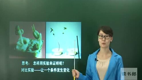 高清1080P在线观看平台_腾讯视频