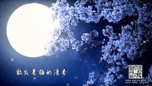 《月光下的中国》朗诵-艺加教育-苏蔚杭