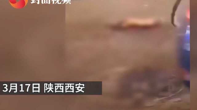 西安街头惊现人体残肢吓坏路人 警方:系女子跳楼磕断腿