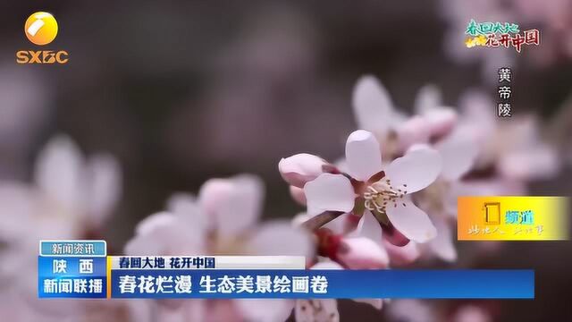 春回大地!春花烂漫,生态美景绘画卷