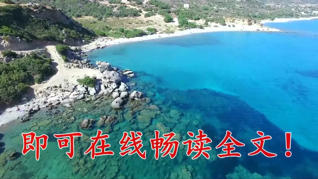 猛龙战枭全文免费阅读林北林楠完结版