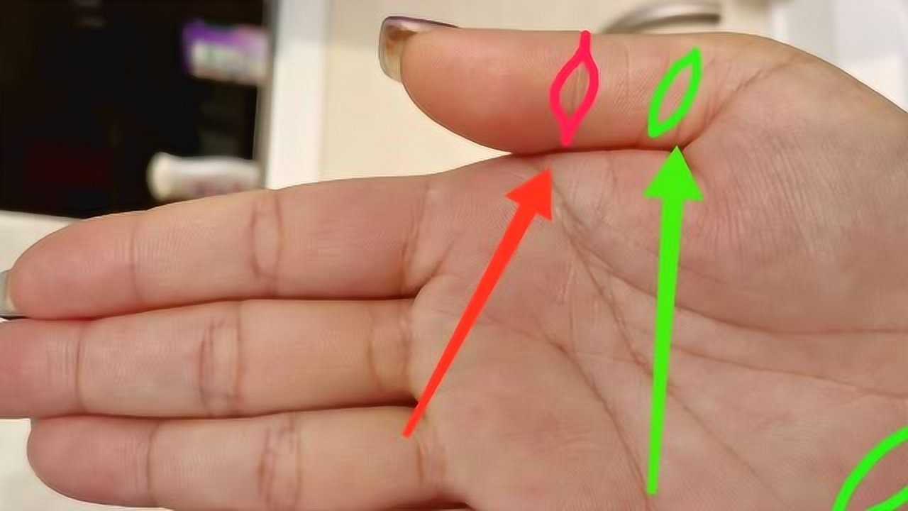 "佛眼纹"与"孔子目"有什么区别?任何一个都聪明无双